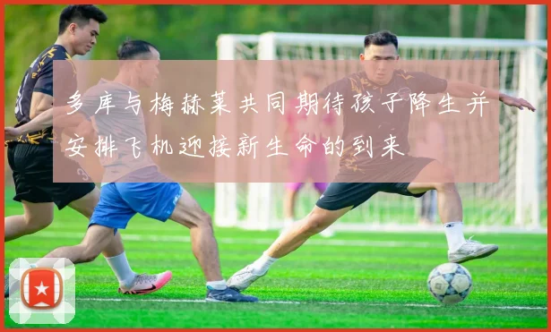 多库与梅赫莱共同期待孩子降生并安排飞机迎接新生命的到来