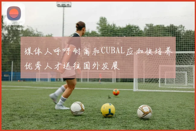 媒体人呼吁耐高和CUBAL应加快培养优秀人才送往国外发展
