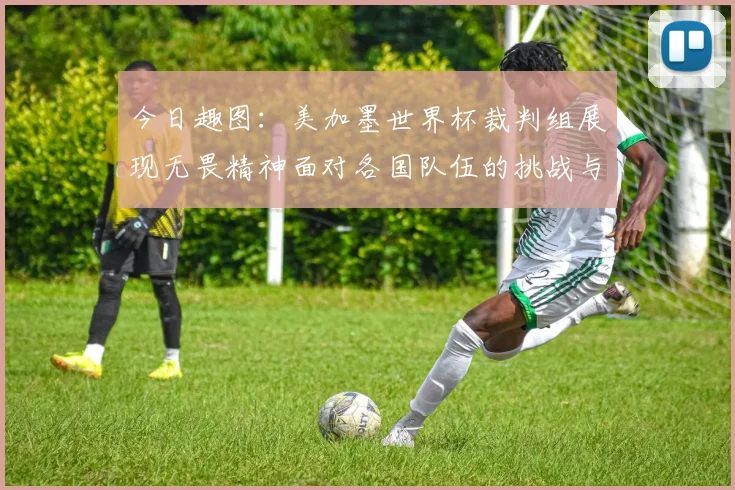 今日趣图：美加墨世界杯裁判组展现无畏精神面对各国队伍的挑战与针对